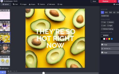 Kapwing – Online Video Editor