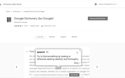 Google Dictionary