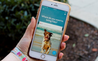 BringFido – Pet Friendly Hotels