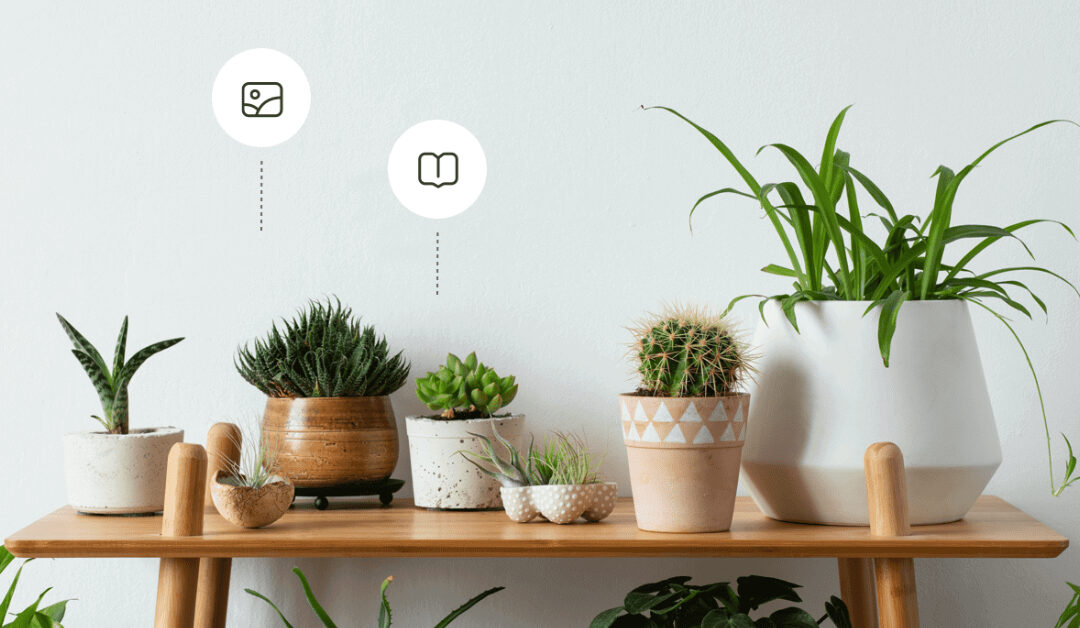 PictureThis – Plant Identifier