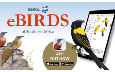 Sasol eBirds Southern Africa
